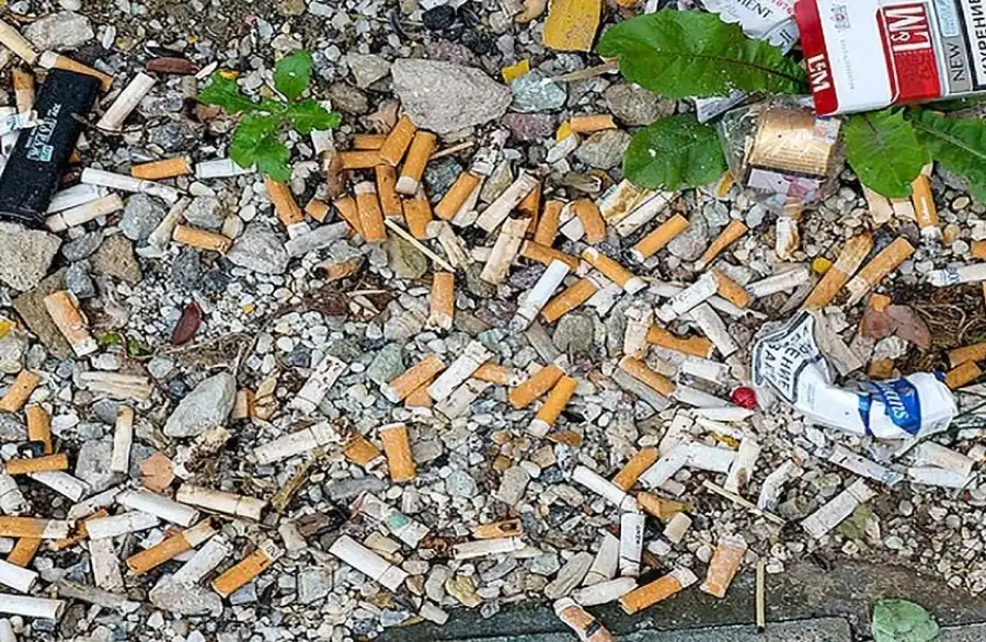 مدار الساعة,أخبار خفيفة ومنوعة