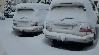 الثلوج تكسو مرتفعات الشوبك.. وتحذيرات من