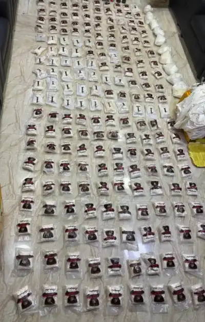 الجيش الأردني: أحبطنا المحاولتين