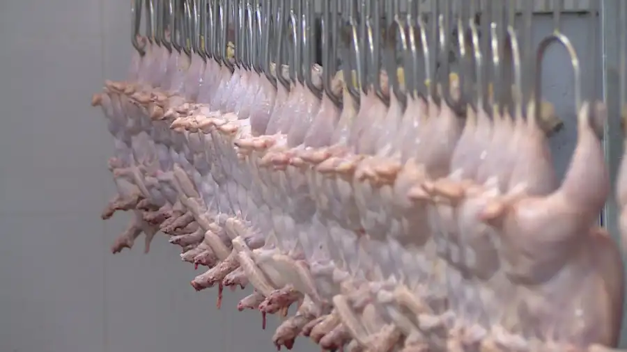 مدار الساعة,أخبار الأردن,اخبار الاردن,وزارة الصناعة والتجارة,وزارة الزراعة,وزارة الصناعة