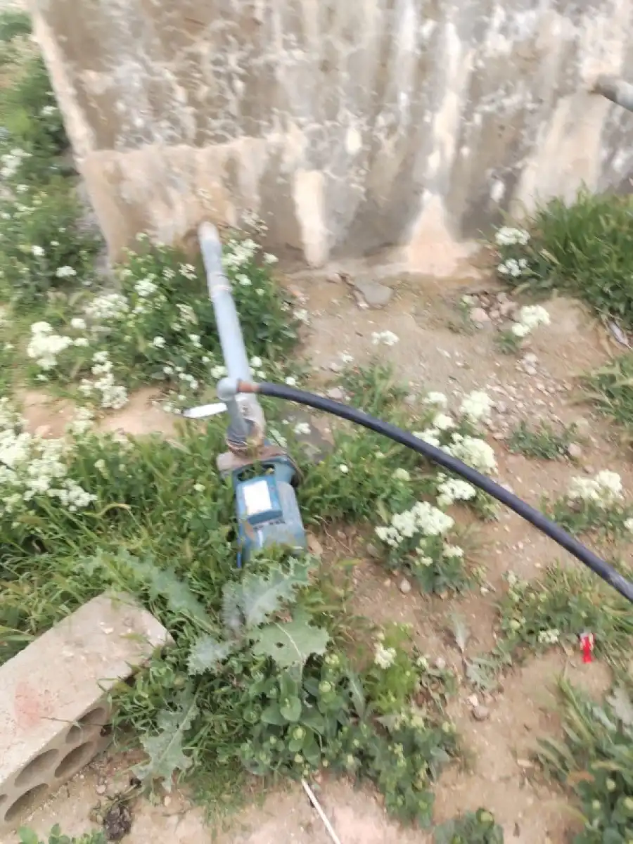 مدار الساعة,أخبار الأردن,اخبار الاردن,وزارة المياه والري,وزارة المياه,الأمن العام,قوات الدرك,الإدارة الملكية لحماية البيئة