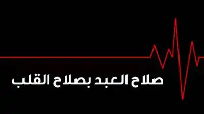 تكامل المعارف في إصلاح القلوب