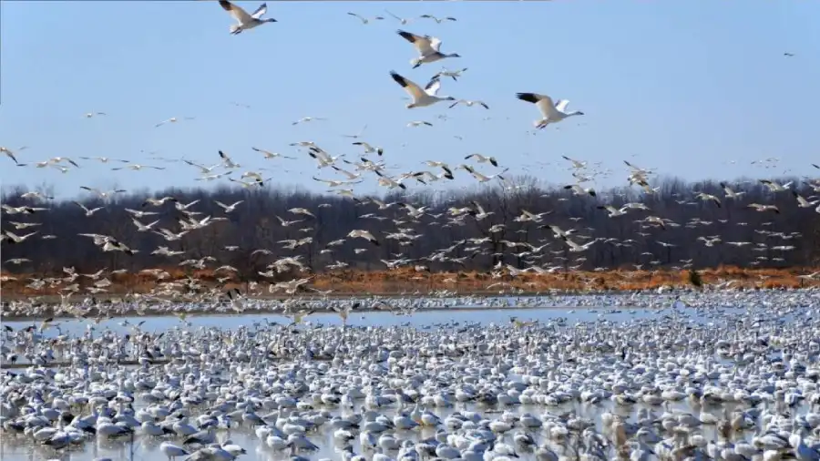 مدار الساعة,أخبار خفيفة ومنوعة