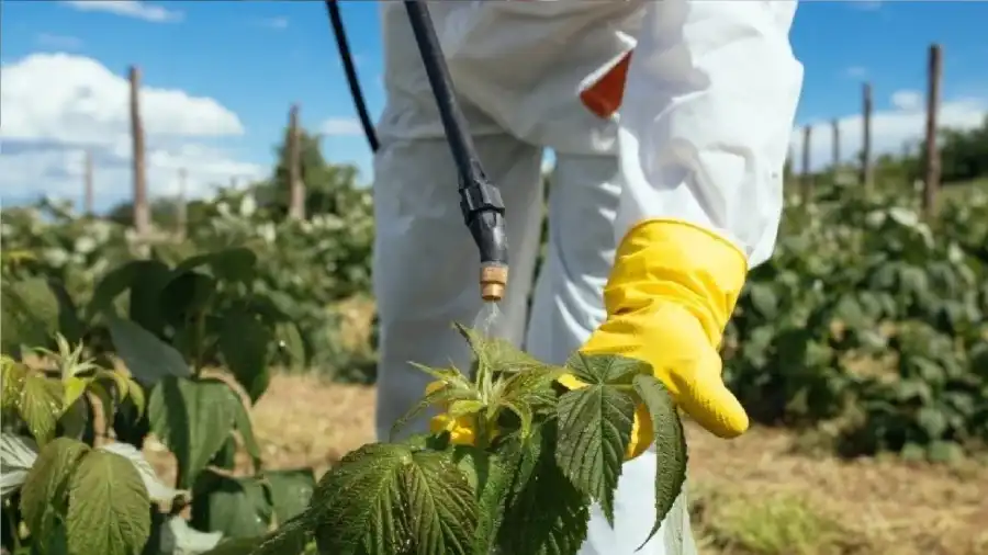 مدار الساعة,أخبار خفيفة ومنوعة,الذكاء الاصطناعي