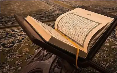 القرآن والسكينة في زمن الخوف