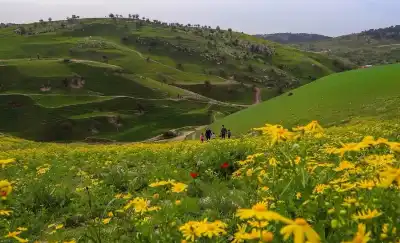 إقبال سياحي لافت على المواقع الأثرية