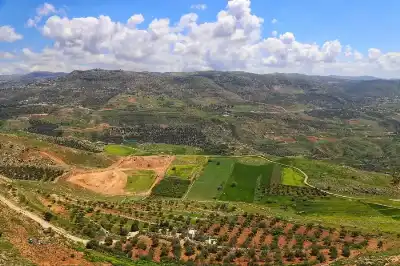 الربيع في عجلون.. لوحة طبيعية نابضة