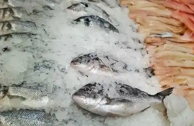 الصين.. فيروس جديد في المنتجات البحرية