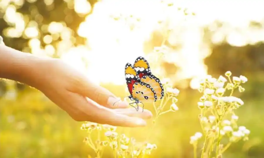 مدار الساعة,أخبار خفيفة ومنوعة,درجات الحرارة