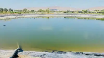 زراعة الأغوار الشمالية تدعو لتسييج البرك