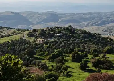 الأمن الأردني: ندعو الجميع إلى الالتزام