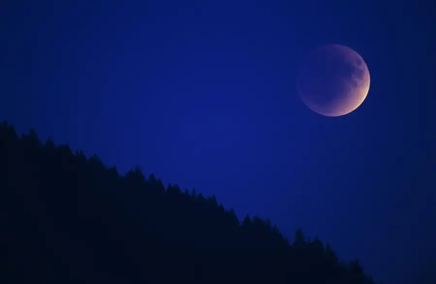 مدار الساعة,أخبار خفيفة ومنوعة