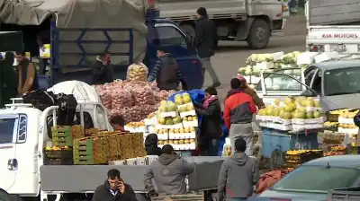 اسعار خضار وفواكه في السوق المركزي