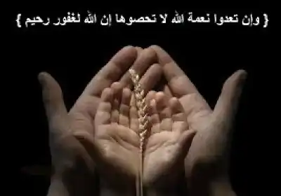 خبايا النعم