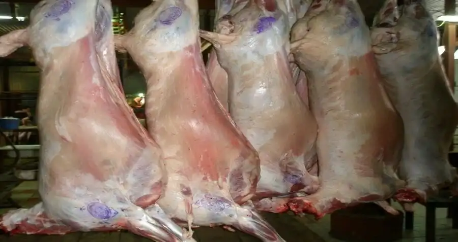 مدار الساعة,أخبار الأردن,اخبار الاردن