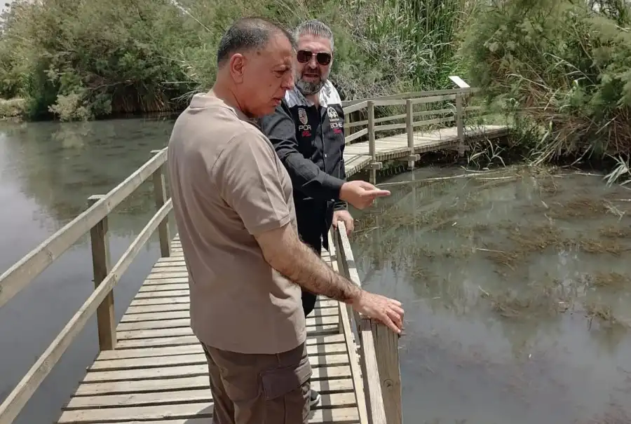 مدار الساعة,أخبار الأردن,اخبار الاردن,مازن الفراية,وزير الداخلية