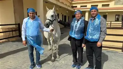 رئيس الحجر البيطري الأردني يتفقد الخيول