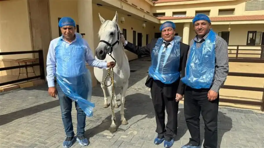 مدار الساعة,أخبار اقتصادية,وزير الزراعة,وزارة الداخلية,وزارة الزراعة