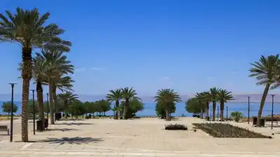جعفر حسان يفتتح كورنيش البحر الميت
