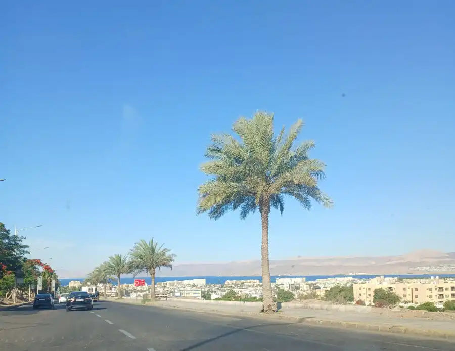 للحفاظ على إطلالة البحر: أهمية تعديل