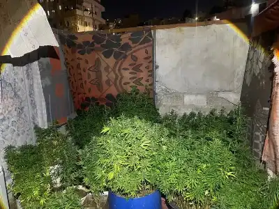 الأردن: إحباط تهريب كمّية كبيرة من