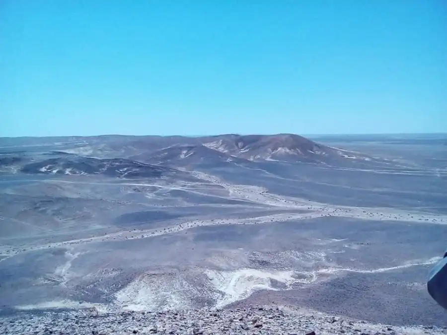 مدار الساعة,أخبار اقتصادية,الديوان الملكي,وادي الأردن,مجلس الأعيان,الذكاء الاصطناعي