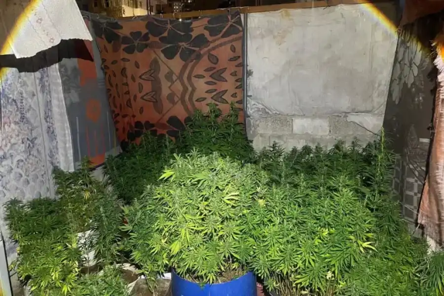 مدار الساعة,أخبار الأردن,اخبار الاردن,مديرية الأمن العام,الأمن العام,إدارة مكافحة المخدرات,مستشفى الرشيد