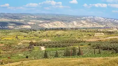 سلطة المياه: تملك 50 دونما أو