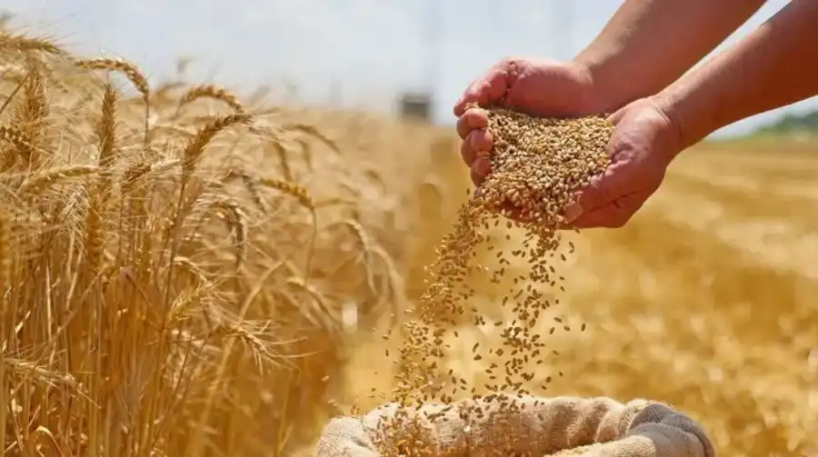مدار الساعة,أخبار اقتصادية,وزارة الصناعة والتجارة,وزارة الصناعة
