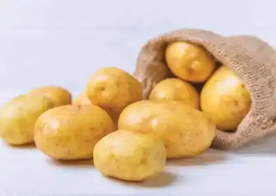 ظلمت لسنوات.. كيف تتحول البطاطا من