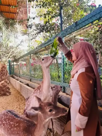 القضاء يلزم السوسنة السوداء بكفالة قيمتها