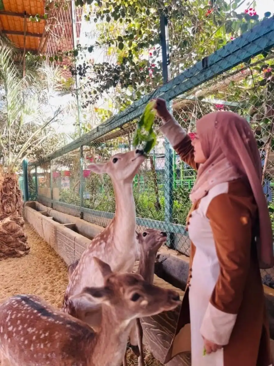 مدار الساعة,أخبار الأردن,اخبار الاردن,وزارة الزراعة,المحكمة الإدارية العليا