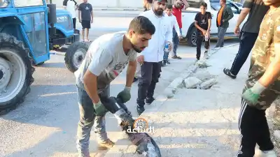 مبادرة عشائرية بتوقيع العلاونة.. الطيبة تشهد