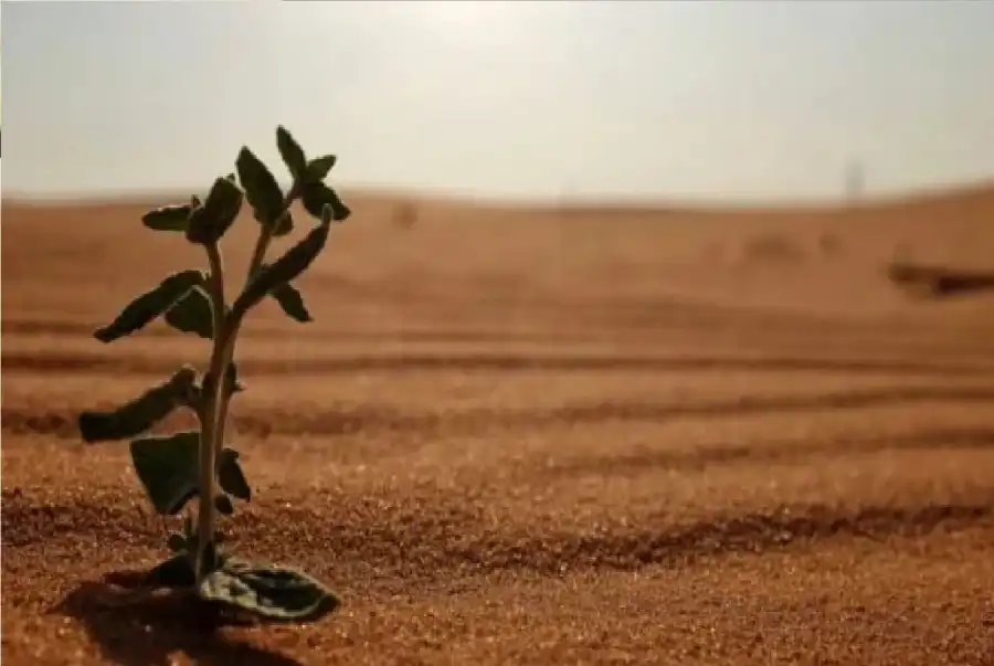 مدار الساعة,شؤون دينية,رأس السنة الهجرية,وسائل التواصل الاجتماعي