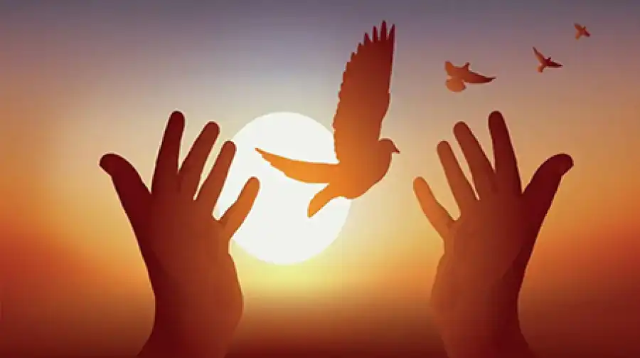 مدار الساعة,أخبار المجتمع الأردني