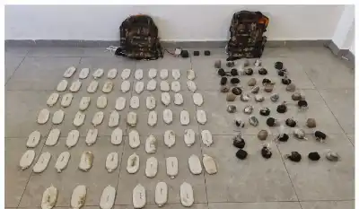 الجيش الأردني: تعاملنا معها وأسقطناها