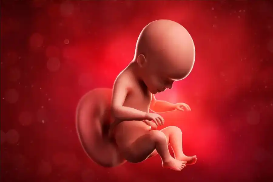 مدار الساعة,أخبار الصحة والأسرة