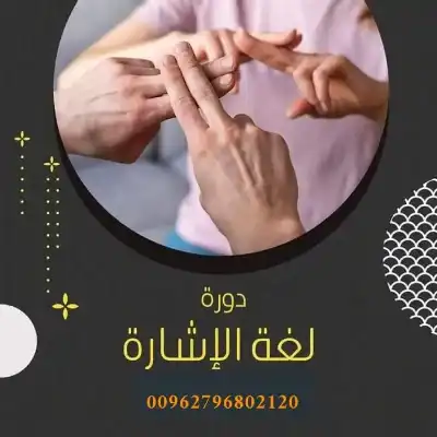 ما وراء الاشارة ورشة عمل للمجلس