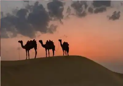 من الاضطهاد إلى بناء الدولة.. لماذا