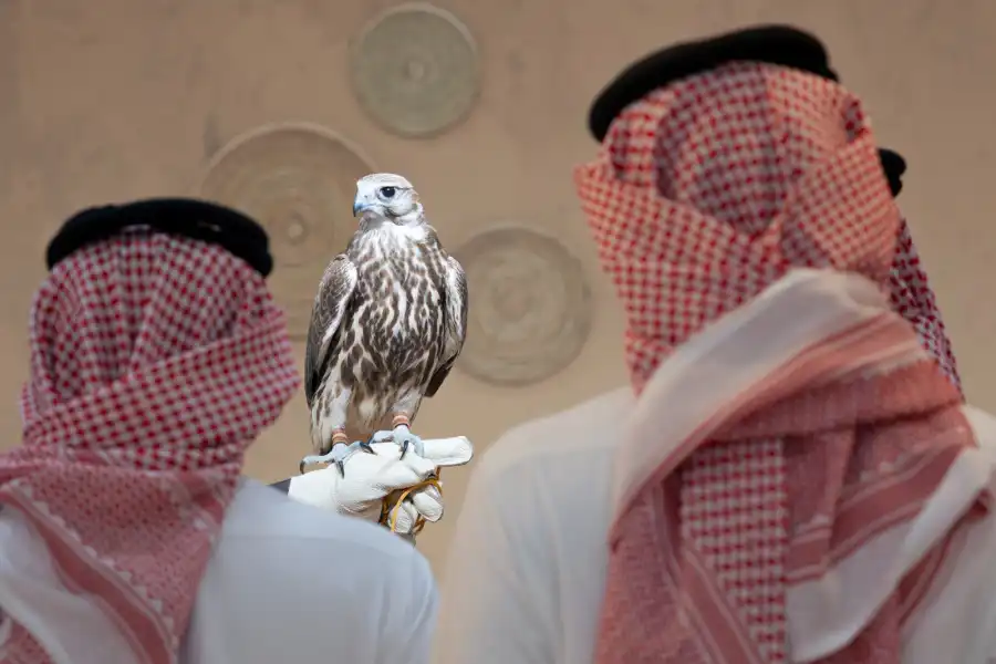 مدار الساعة,خليجيات,أخبار الخليج العربي,أخبار دول الخليج