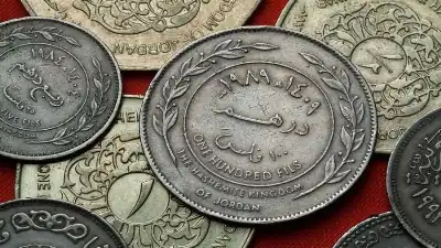 فلس الريف يزود 136 موقعا ومنزلا