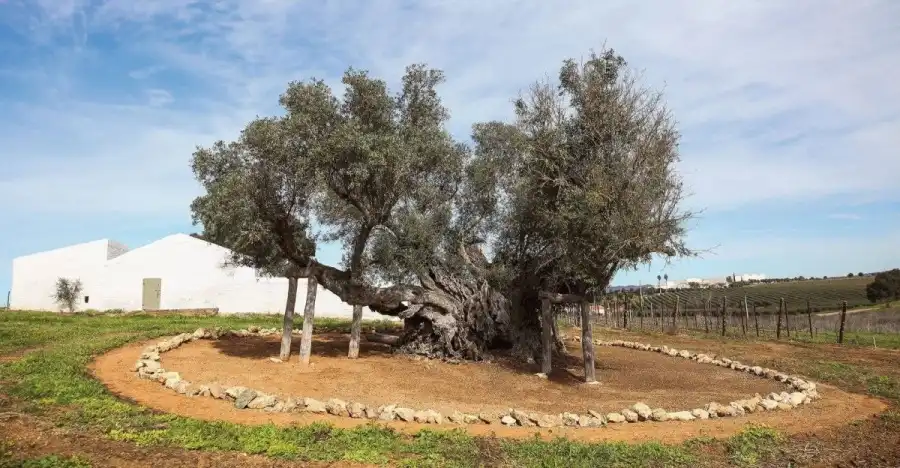 مدار الساعة,أخبار خفيفة ومنوعة