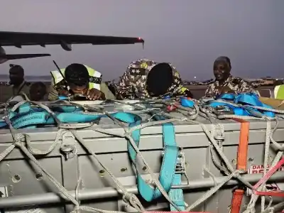 طائرة خاصة تعيد تمساحا نيليا من