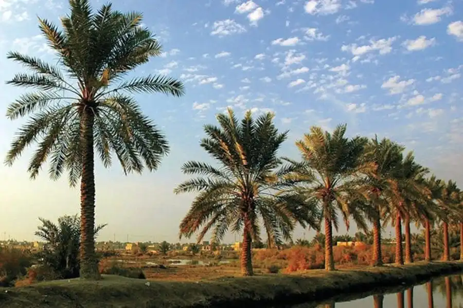 مدار الساعة,أخبار اقتصادية,الملكة رانيا,وكالة الأنباء الأردنية,وادي الأردن,الجامعة الهاشمية,درجات الحرارة,البحر الميت
