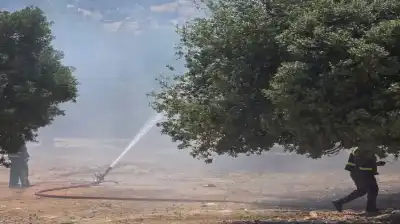 حريق يلتهم عشرات الدونمات من الأشجار