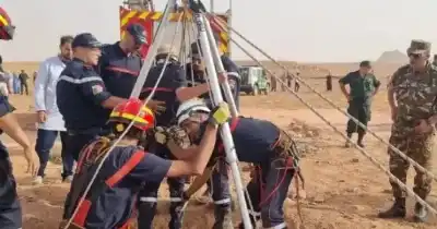 لليوم الرابع على التوالي.. الجزائر تواصل