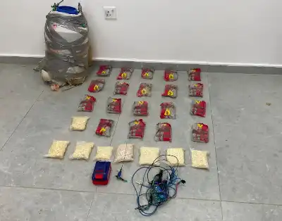 القوات المسلحة الأردنية: رصدناها وتعاملنا معها