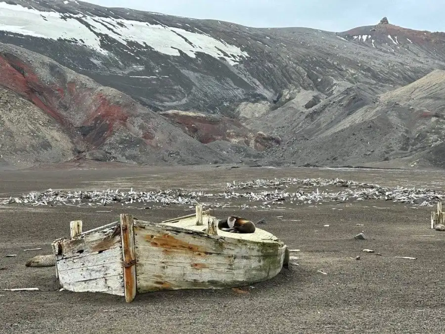 مدار الساعة,أخبار خفيفة ومنوعة