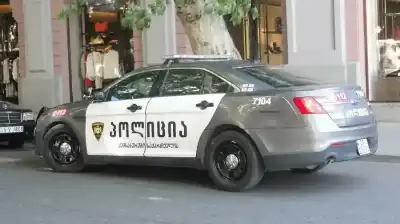 بينهم أردنيون.. جورجيا ترحّل 84 أجنبيا