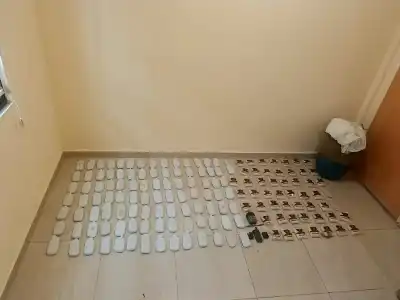الجيش: التعامل معها وإسقاطها داخل الأراضي